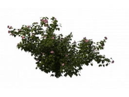 Pink rose bush 3d model preview