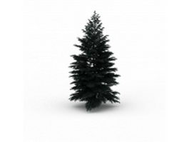 Conifer tree 3d model preview