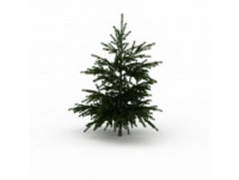 Conifer fir tree 3d model preview