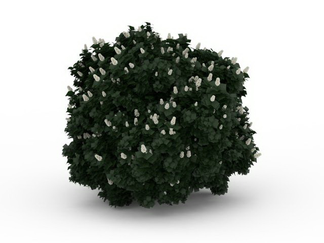 Flowering shrubs for landscaping 3d rendering