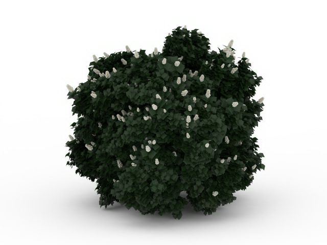 Flowering shrubs for landscaping 3d rendering