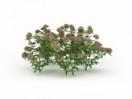 Flowering plant for garden 3d model preview