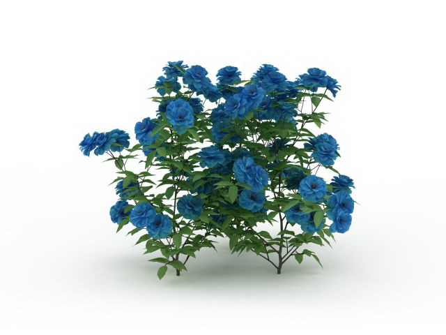 Blue flower shrub plants 3d rendering
