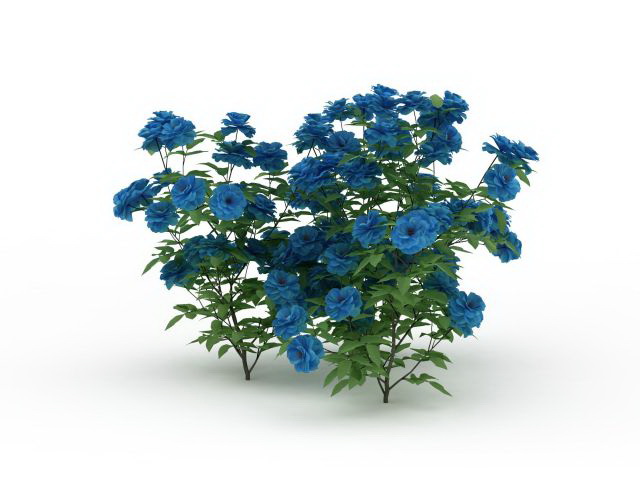 Blue flower shrub plants 3d rendering