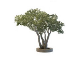 Large garden planter tree 3d model preview
