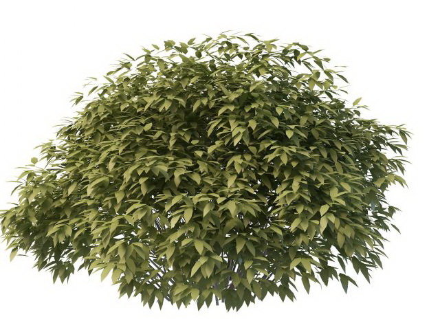 Small bush tree 3d model 3ds max files free download 