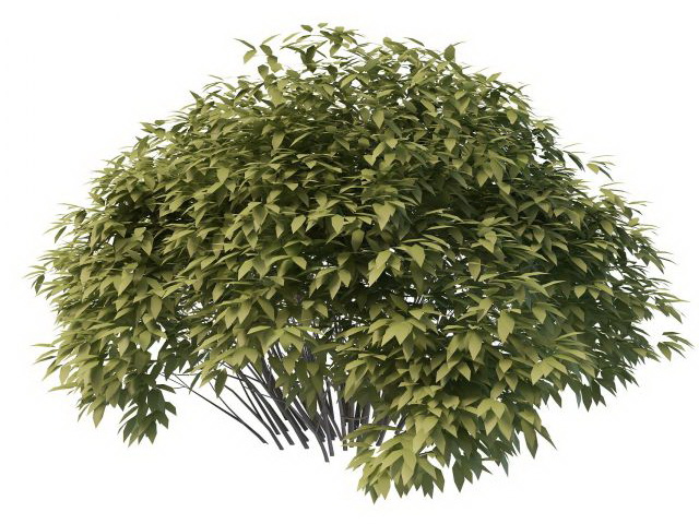Small bush  tree  3d model  3ds max files free download 
