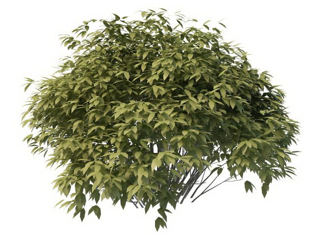 Small bush  tree  3d model  3ds max files free download 