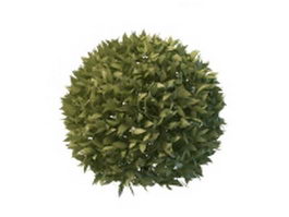 Topiary ball plants 3d preview