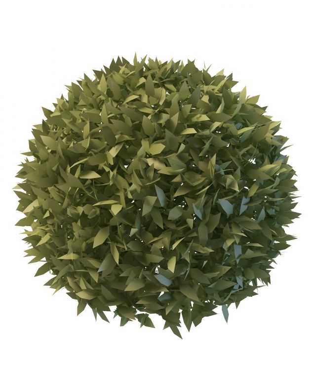 Topiary ball plants 3d rendering