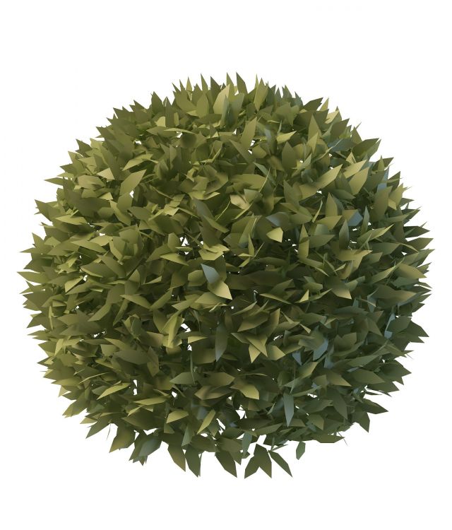 Topiary ball plants 3d rendering