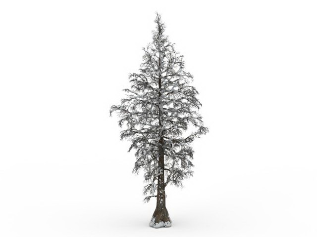 Snow fir tree 3d rendering