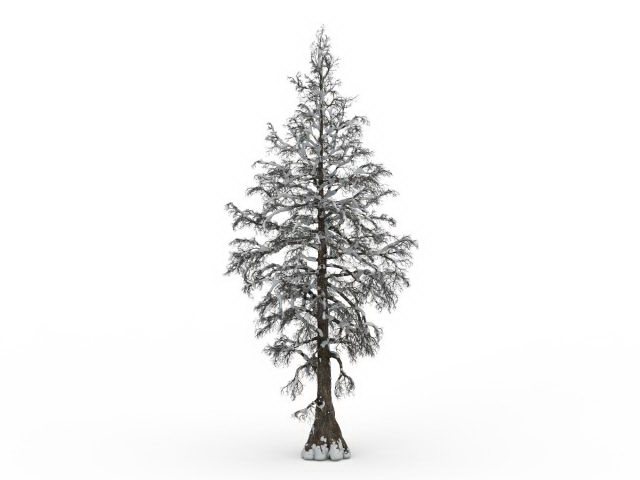 Snow fir tree 3d rendering