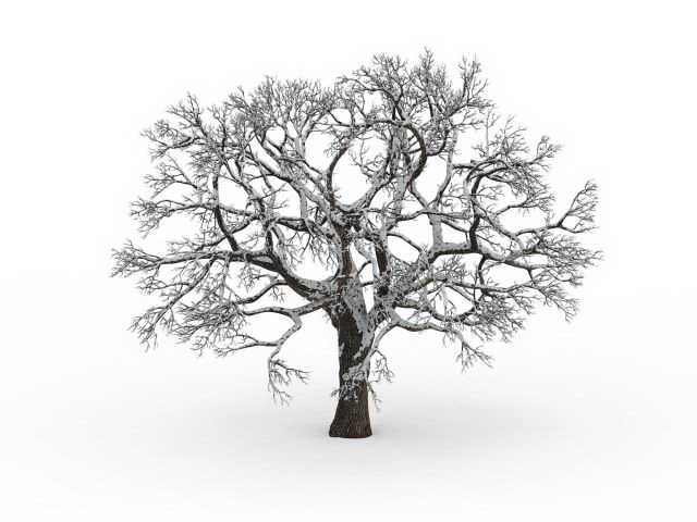Snowy bare tree 3d rendering