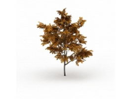 Golden ash tree 3d model preview