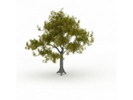 Maidenhair tree 3d model preview