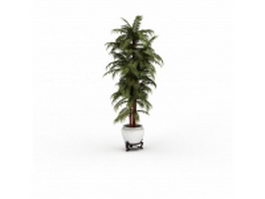 House plant bamboo palm tree 3d preview