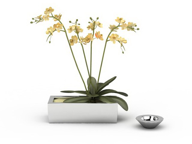 Small Rectangle Flower Pot 3d Model Cadnav