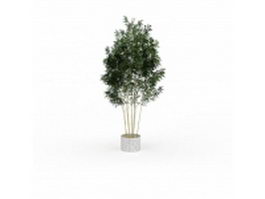 Potted bamboo 3d model preview