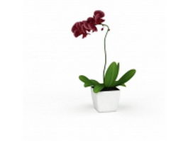 Potted plant with red flowers 3d preview