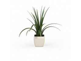 Aloe vera in withe pot 3d model preview