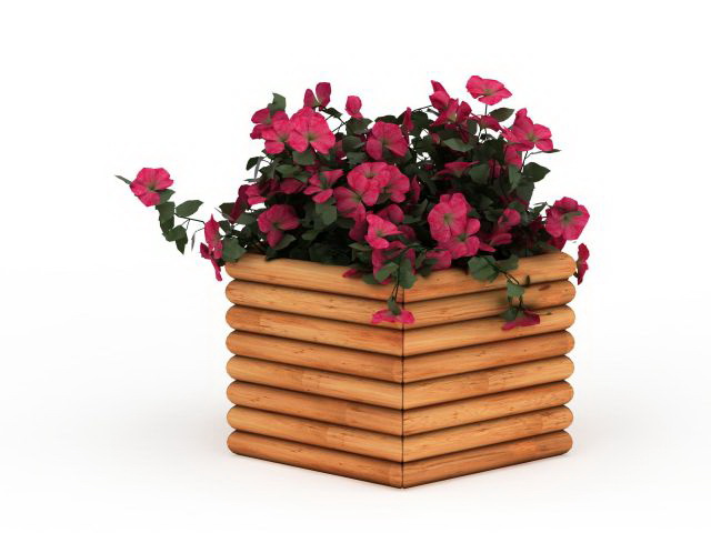 Flowers in box planters 3d rendering