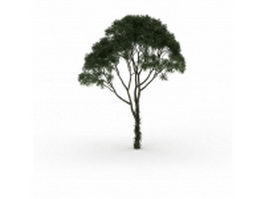 Mesquite tree 3d model preview