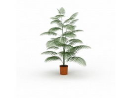 Palm fern house plant 3d model preview