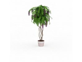 Chinese wisteria bonsai tree 3d preview