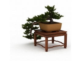 Indoor bonsai tree on table 3d model preview