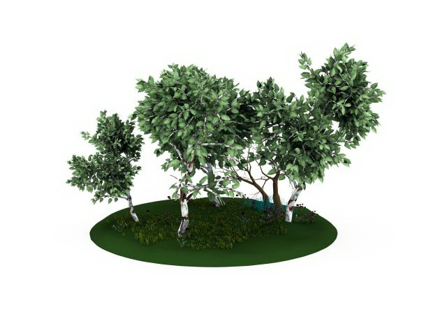 Tree and grass 3d rendering