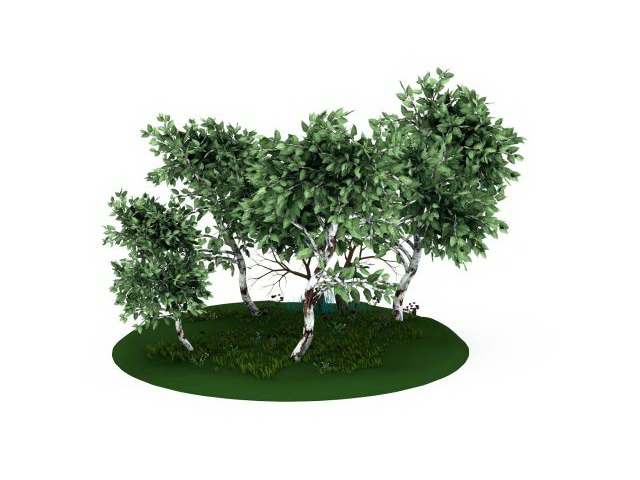 Tree and grass 3d rendering