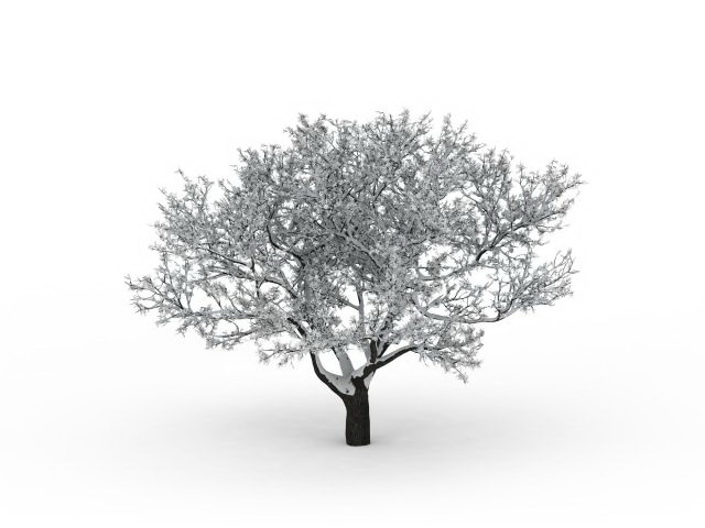Winter snow tree 3d rendering