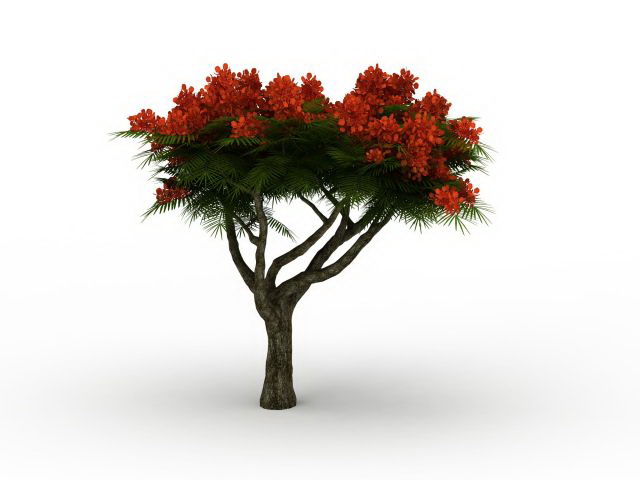 Pine tree with flower 3d rendering