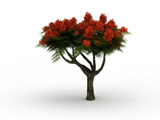 Pine tree with flower 3d rendering