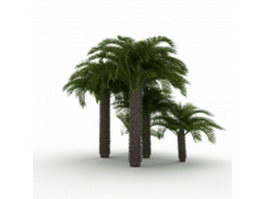 Mediterranean fan palm plants 3d model preview