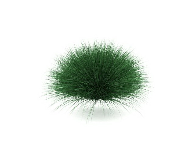 Mexican feather grass 3d rendering