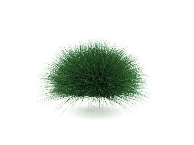 Mexican feather grass 3d rendering