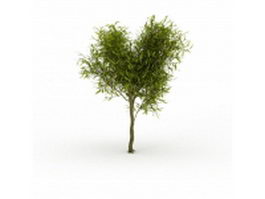 Small willow tree 3d model preview