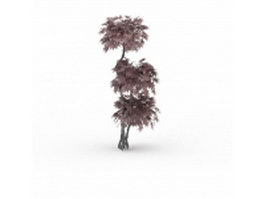 Japanese maple ornamental tree 3d model preview