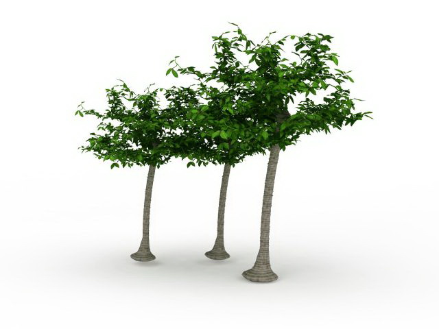 Landscape trees 3d rendering