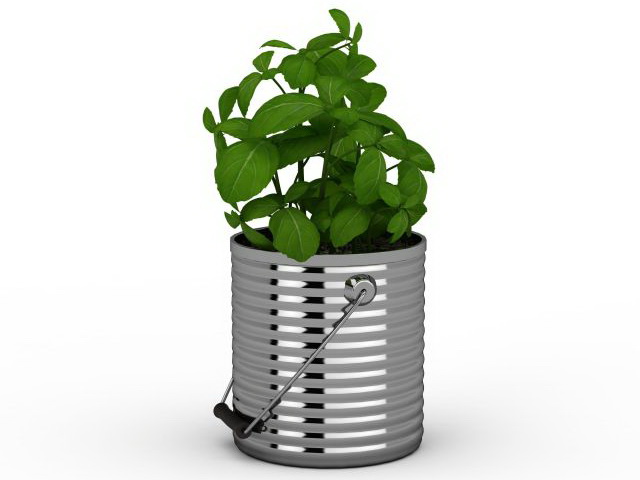 Metal bucket planter 3d rendering
