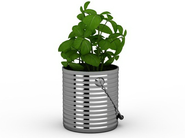 Metal bucket planter 3d rendering