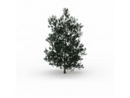 White spruce tree 3d model preview