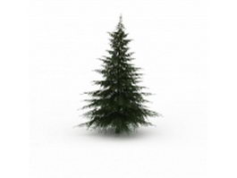 Douglas fir tree 3d model preview