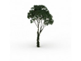 Juniper tree 3d model preview