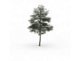 Locust tree 3d model preview