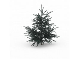 White fir tree 3d model preview