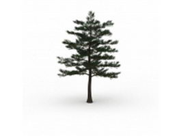 Blue atlas cedar tree 3d model preview