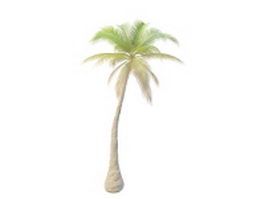 Slanted palm tree 3d model preview